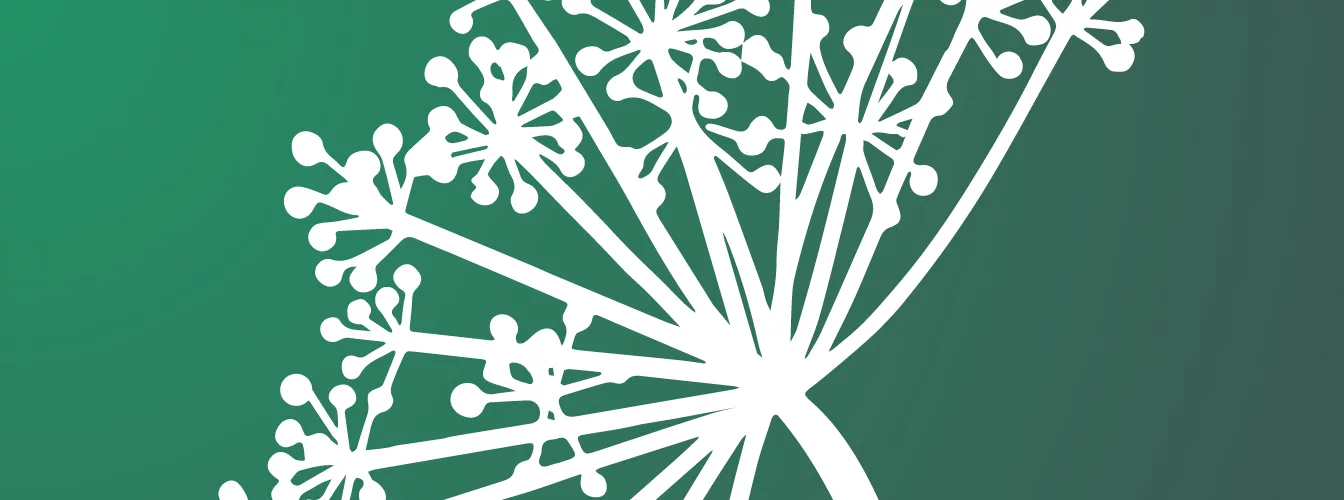 ZOO CENTRE ALLGERGOLOGIE Banniere Footer X Px