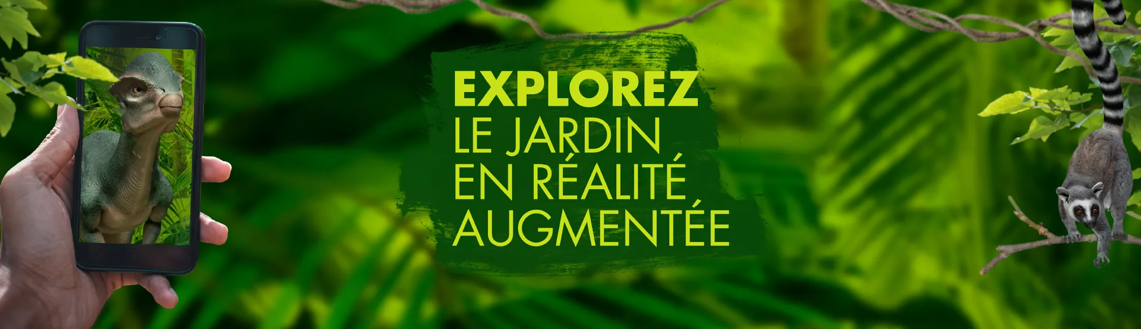 ZOO JARDIN BOTANIQUE Banniere Header X Px