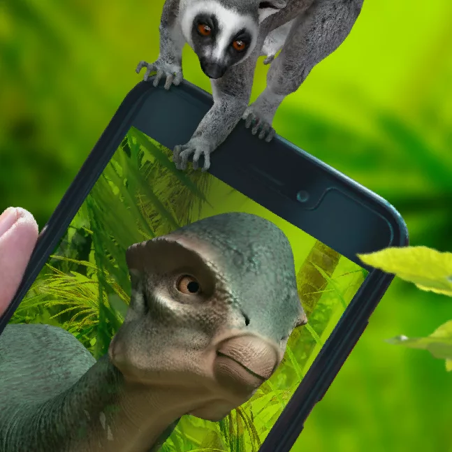 ZOO JARDIN BOTANIQUE Homepage X Px
