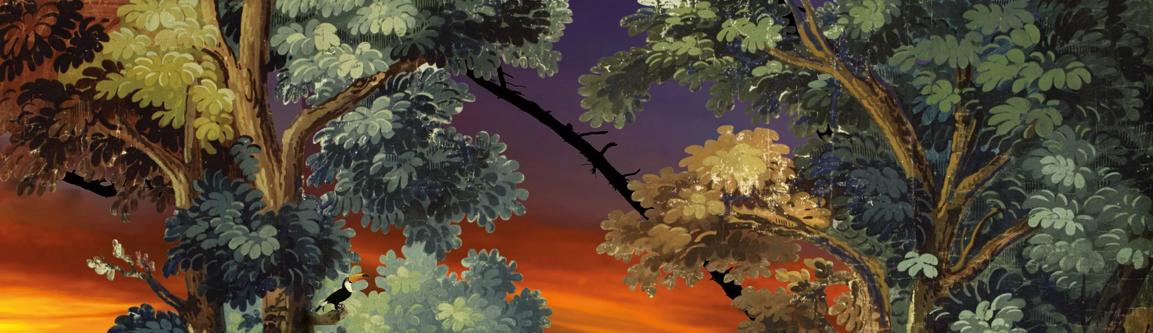 ZOO JDM Banniere Header X Px