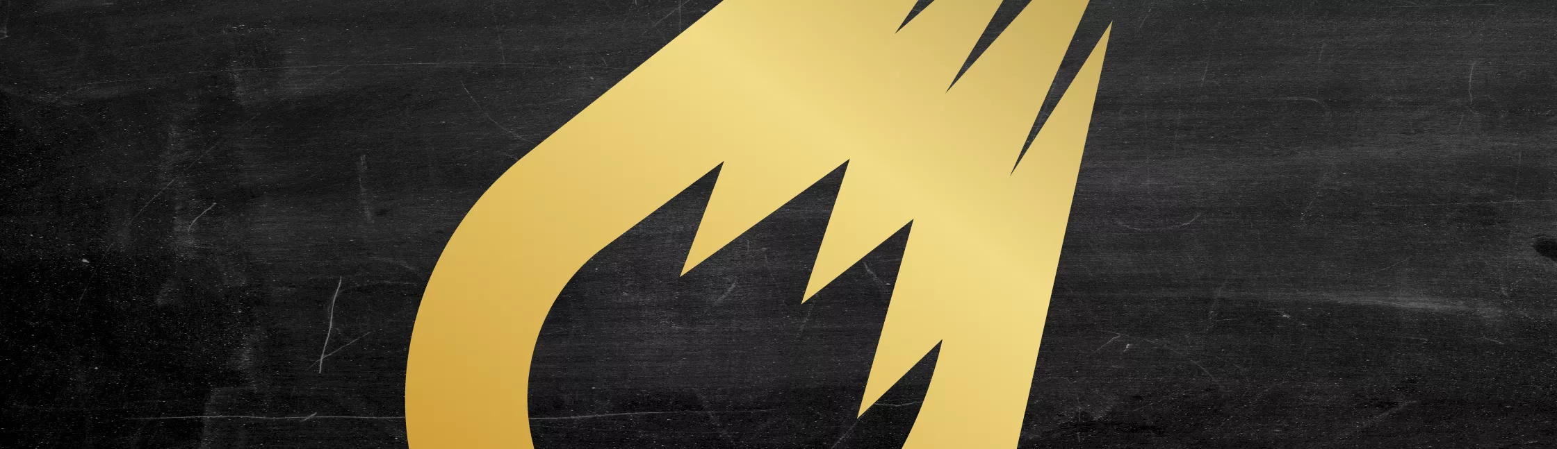 ZOO METEOR Banniere Header X Px