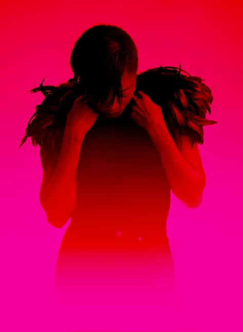 ZOO N&TRS Homepage , X Px