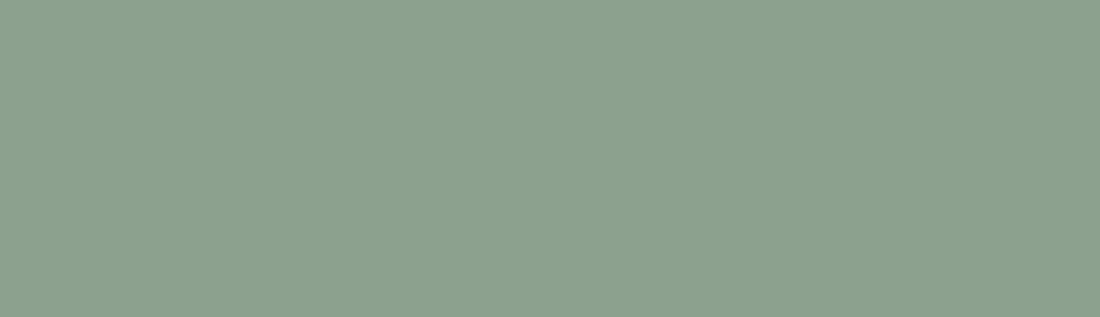 ZOO OPHTALMOLOR Banniere Header X Px