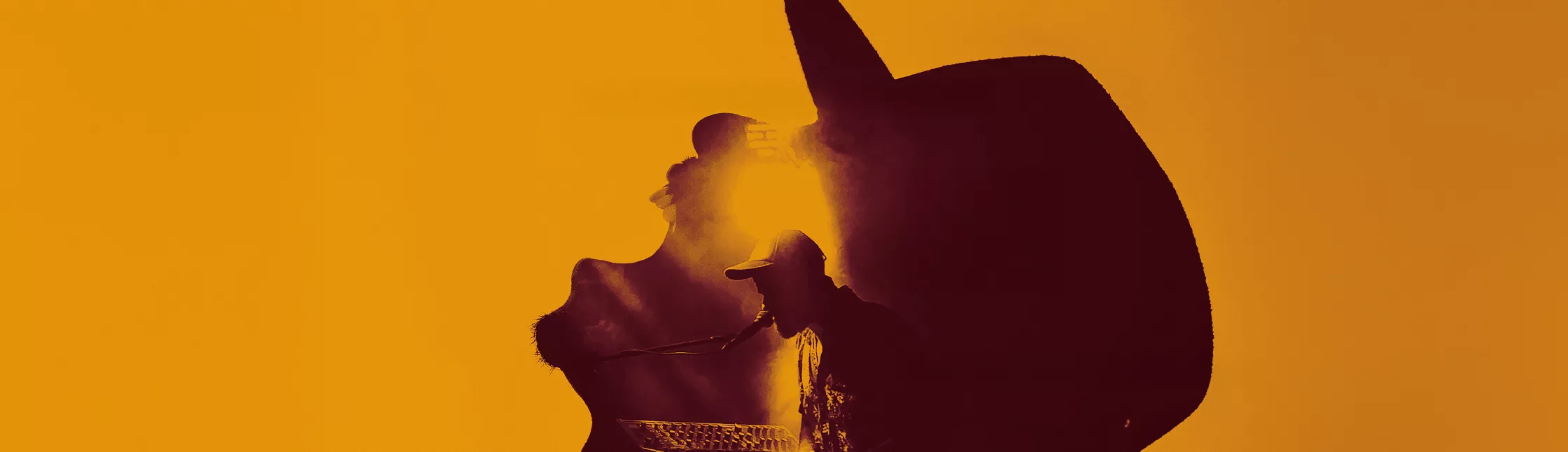 ZOO VANDINFLUENCES Banniere Header X Px