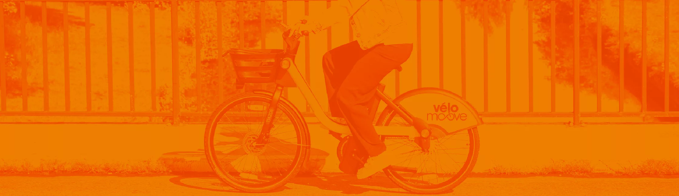 ZOO VELOMOOVE Banniere Header X Px