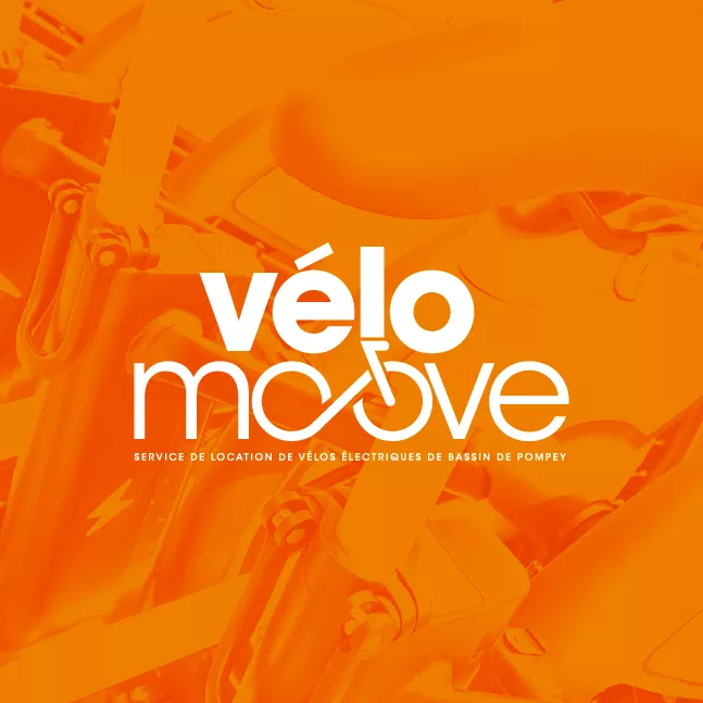 ZOO VELOMOOVE Homepage X Px