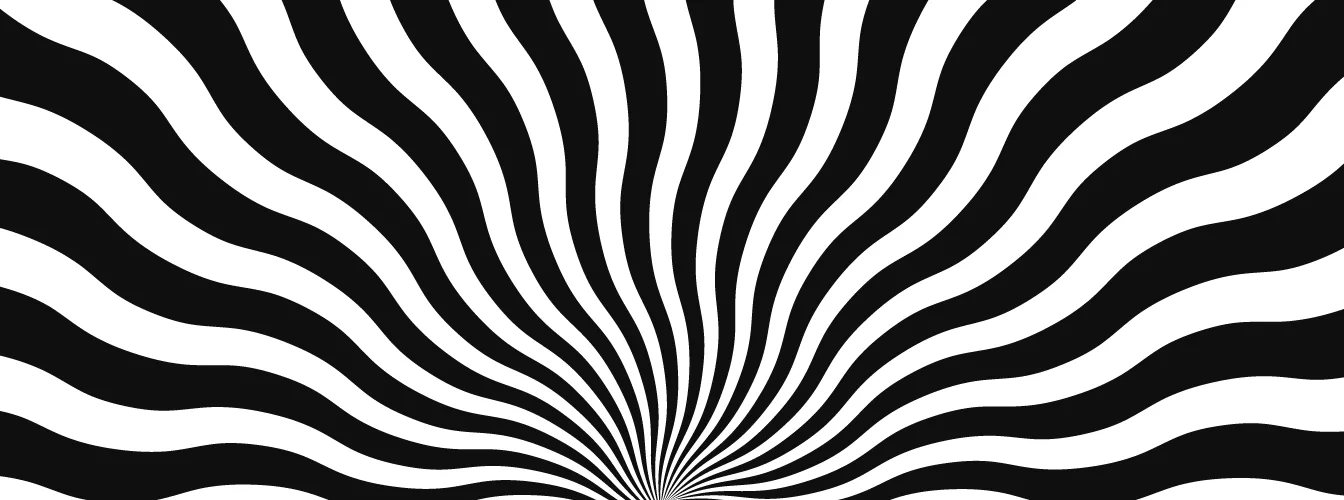 ZOO VERTIGO Banniere Footer X Px