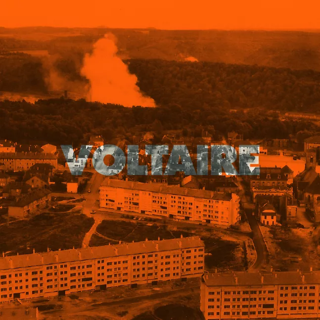 ZOO VOLTAIRE Homepage X Px